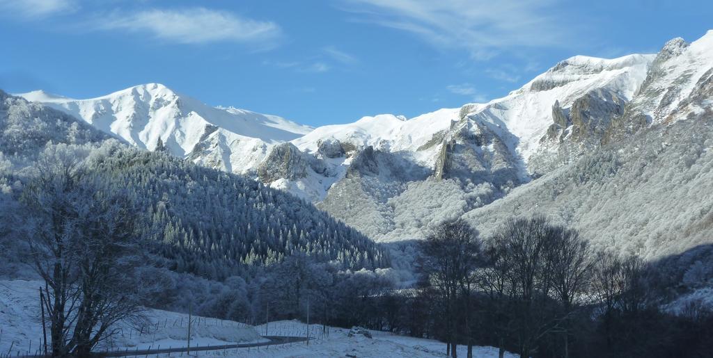 Hotel Les Charmilles Besse-et-Saint-Anastaise Eksteriør bilde