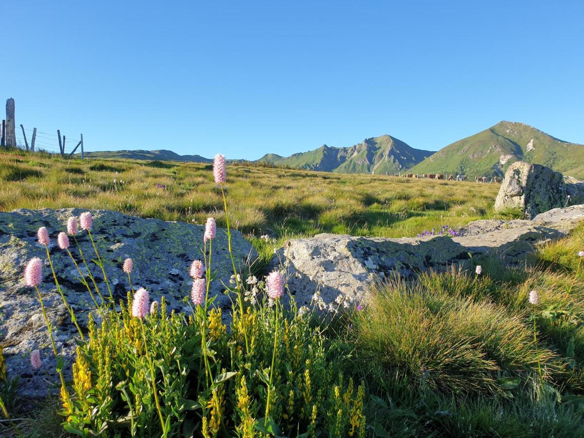 Hotel Les Charmilles Besse-et-Saint-Anastaise Eksteriør bilde